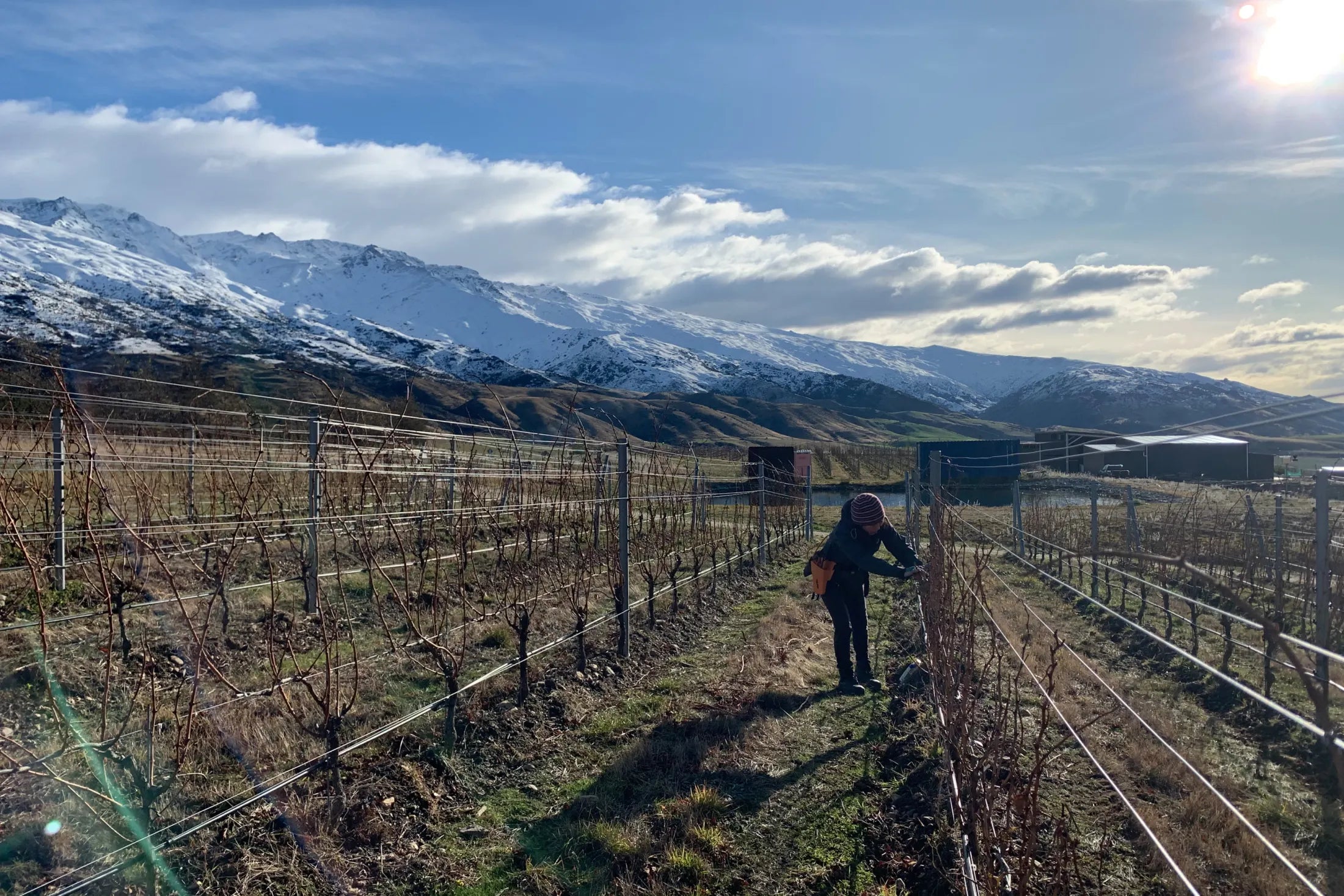 The Artisan of the Vines: Yoshiaki Sato, La Ferme de Sato – Wineology  Brisbane