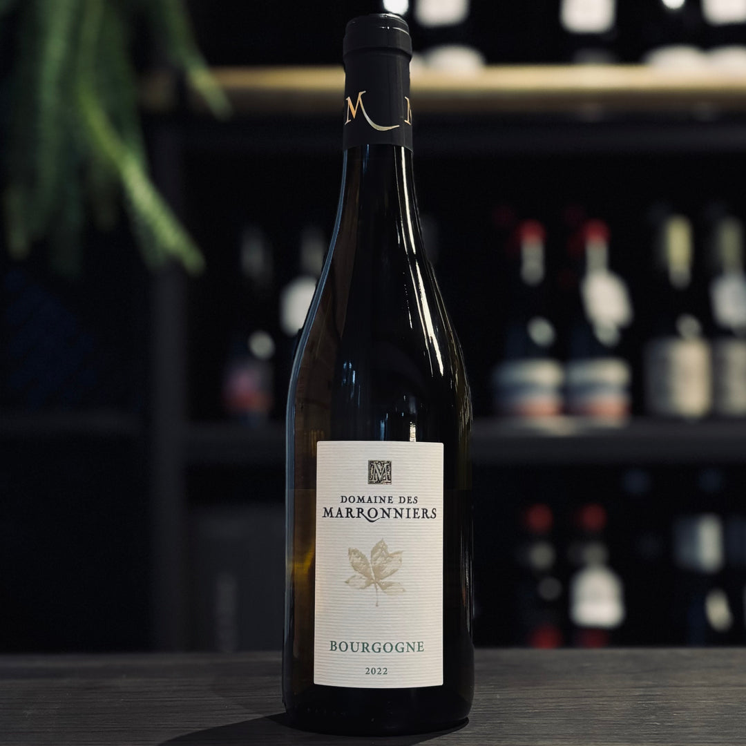 Domaine Ternynck Bourgogne Blanc 2022 (Marronniers)