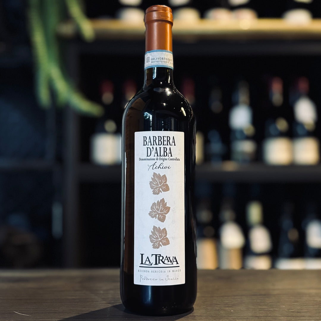 La Trava Barbera d’Alba 2021